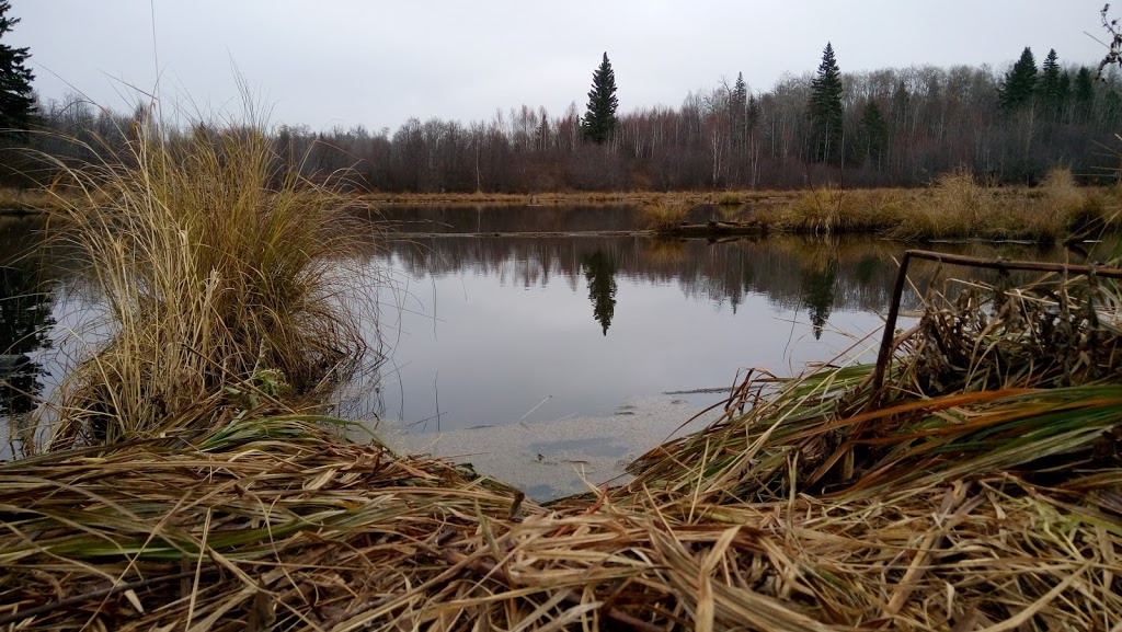 Elk Island National Park | 54401 Range Rd 203, Fort Saskatchewan, AB T8L 0V3, Canada | Phone: (780) 922-5790