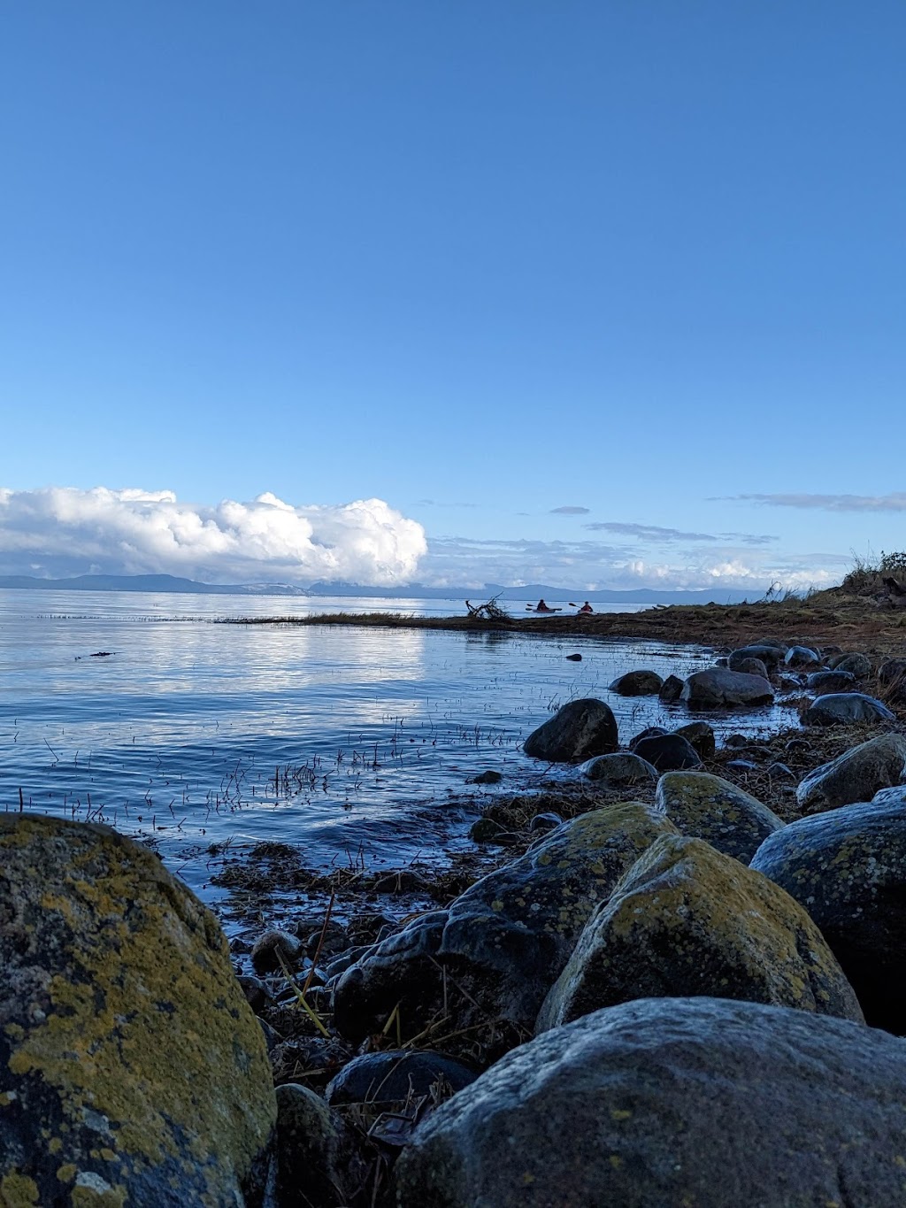 Royston Shipwrecks | Hilton Rd, Royston, BC V9N 9T4, Canada | Phone: (250) 338-3937