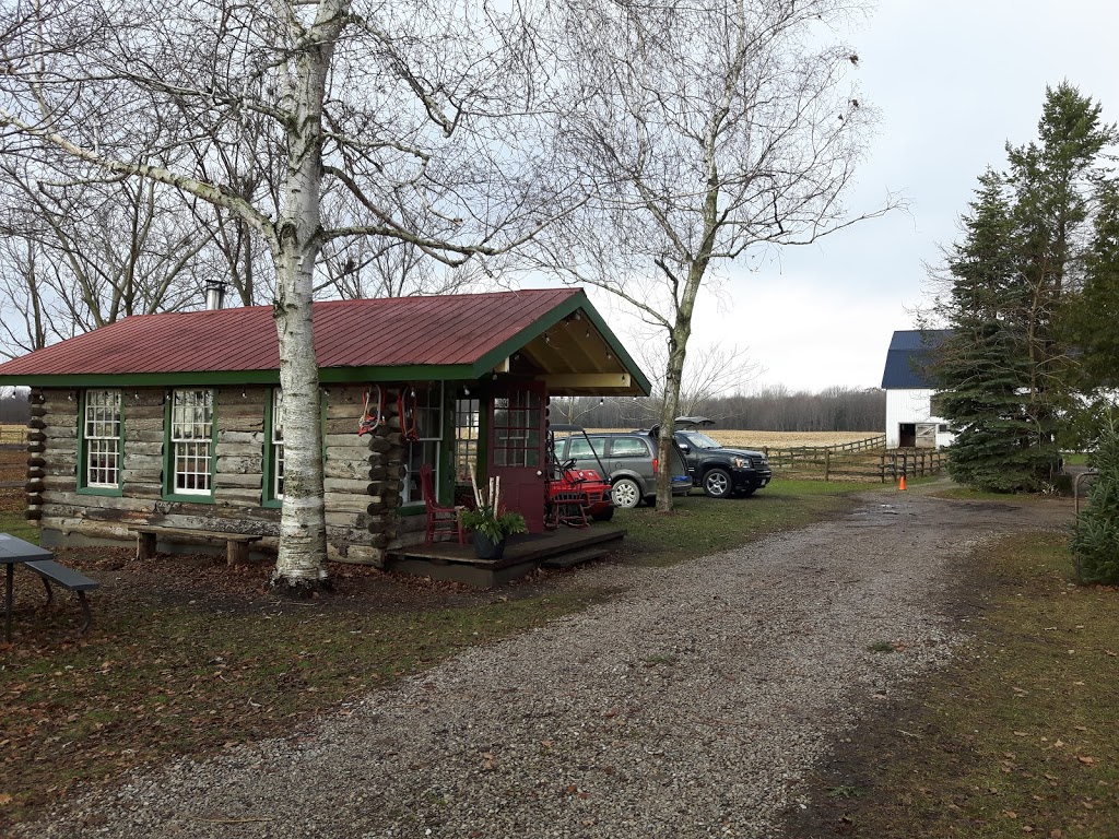 Leos Tree Farm | 24484 Silver Clay Line, West Elgin, ON N0L, Canada | Phone: (519) 857-5947