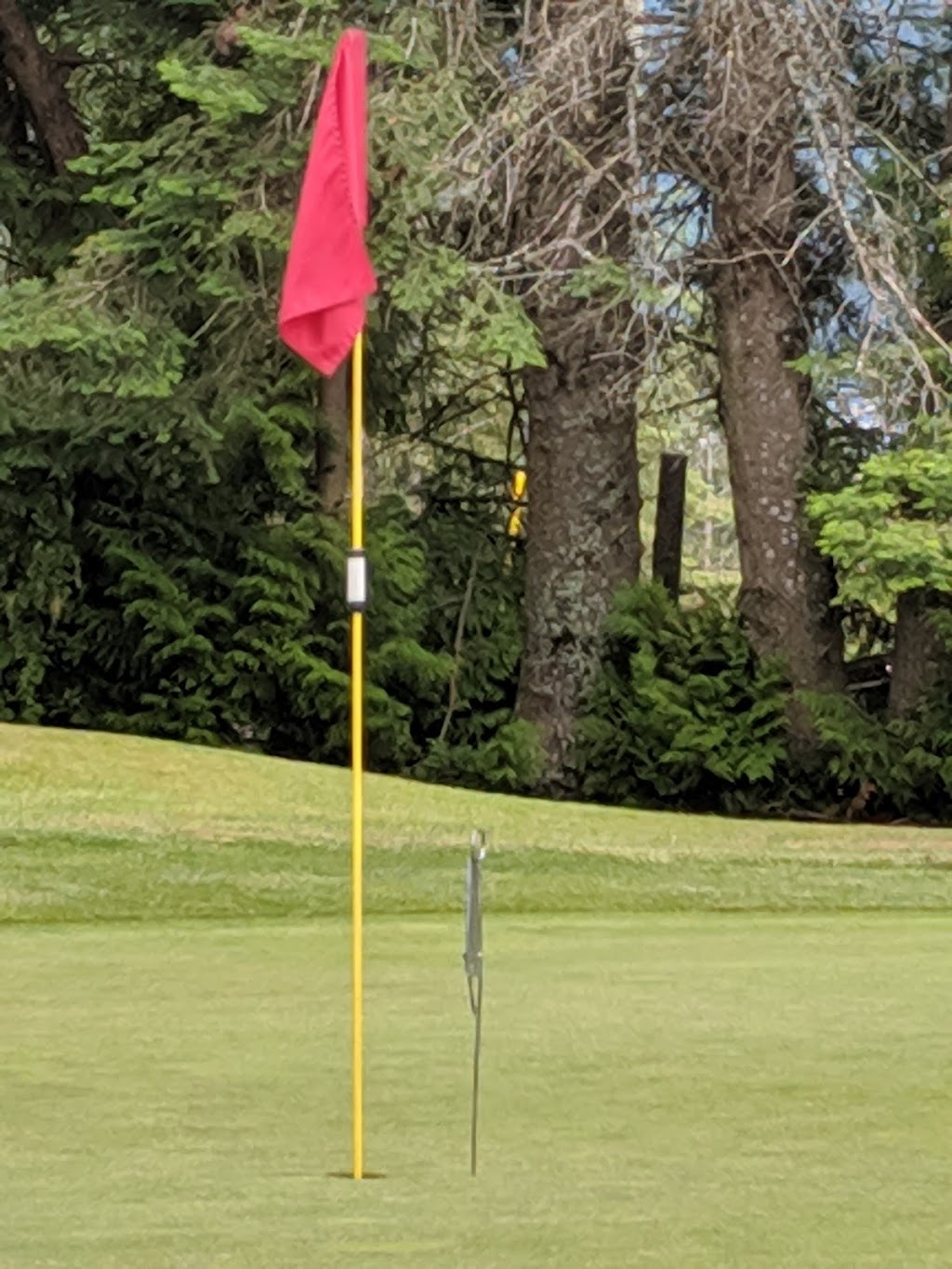 Cowichan Golf Club | 4955 Trans-Canada Hwy, Duncan, BC V9L 3X1, Canada | Phone: (250) 746-5333