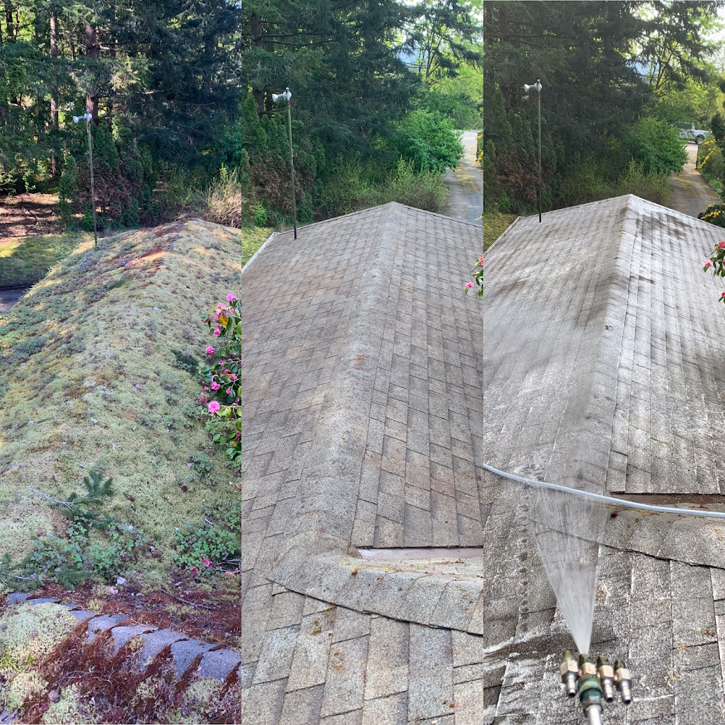 Chadam Cleaning | 10829 Dallain Pl, North Saanich, BC V8L 5M7, Canada | Phone: (778) 922-2597