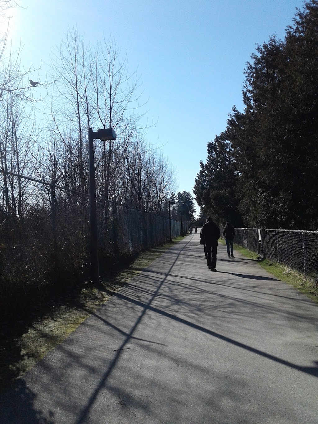 Hume Park Off-leash Dog Park | Brunette-Fraser Trail, New Westminster, BC V3L, Canada | Phone: (604) 526-4691
