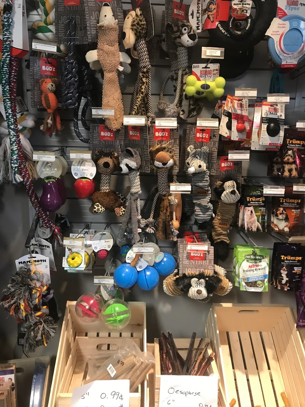 Animalerie Nutri-Pro | 195 Rue de lAtmosphère, Gatineau, QC J9A 0A3, Canada | Phone: (819) 778-8885