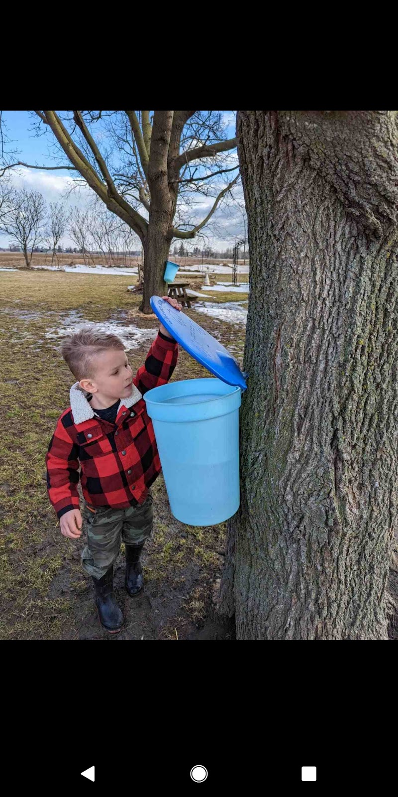 West Montrose Maple Products | 6194 Middlebrook Rd, West Montrose, ON N0B 2V0, Canada | Phone: (519) 897-3416