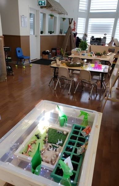 Discovery Nest Early Learning Center | 704 Lauber Crescent NW, Edmonton, AB T6R 3J9, Canada | Phone: (780) 700-3127