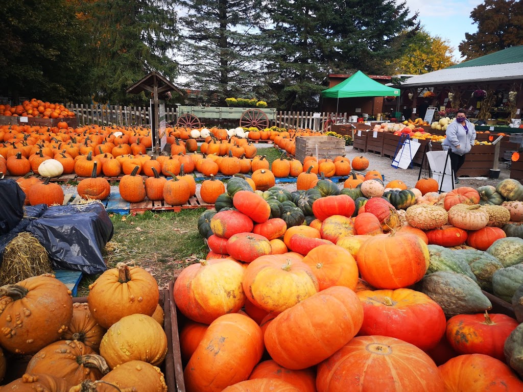 Lintons Farm Market | 571 Raglan Rd E, Oshawa, ON L1H 0N1, Canada | Phone: (905) 655-3949