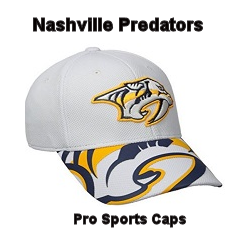 Pro Sports Caps | 44 Woodview Crescent, Gloucester, ON K1B 3A9, Canada | Phone: (613) 824-5213