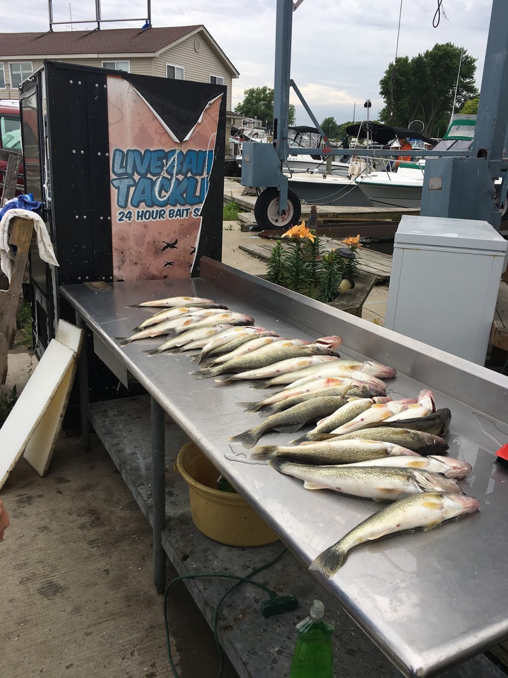 Anglers Point Bait/Marina | 28955 William P Rosso Hwy, Chesterfield, MI 48047, USA | Phone: (586) 949-9223