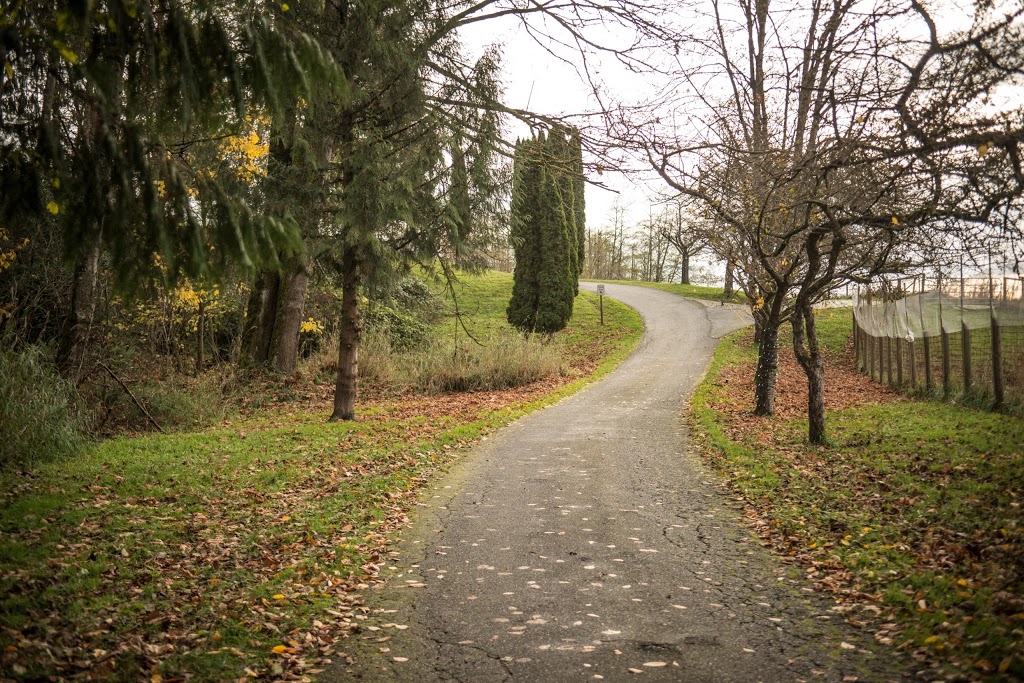 Blackwood Lane Vineyards & Winery | 25180 8 Ave, Aldergrove, BC V4W 2G8, Canada | Phone: (604) 856-5787