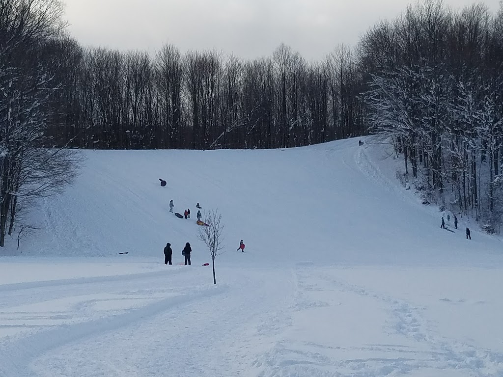 Sprague Brook County Park | 9674 Foote Rd, Glenwood, NY 14069, USA | Phone: (716) 592-2804