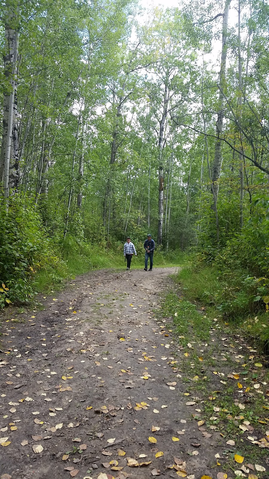 Chicakoo Lake Recreation Area | Range Rd 13, Onoway, AB T0E 1V0, Canada