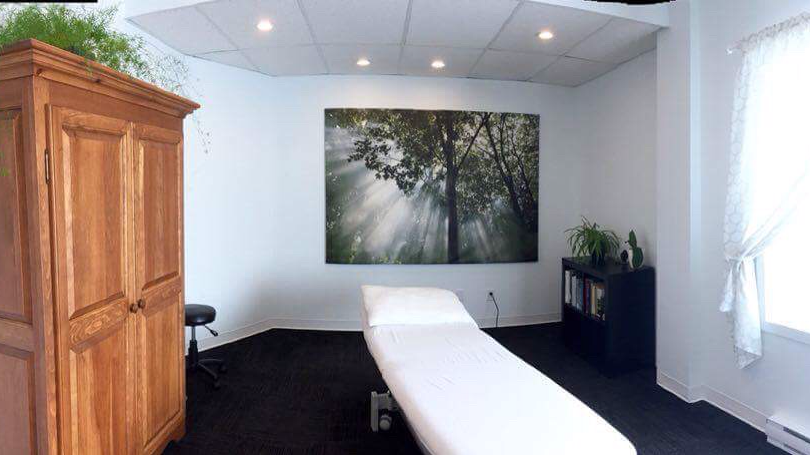 Maude Goulet Ostéopathe | 3040 Boulevard du Curé-Labelle, Prévost, QC J0R 1T0, Canada | Phone: (450) 712-8793