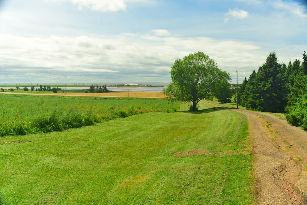 Tole Treasures & Antiques | 19832 Trans-Canada Hwy, Victoria, PE C0A 2G0, Canada | Phone: (902) 658-2581