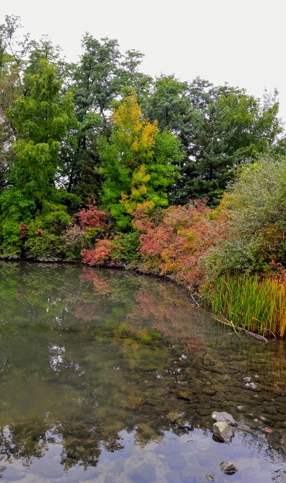 Barrhill Pond | 601 Barrhill Rd, Vaughan, ON L6A 1M8, Canada