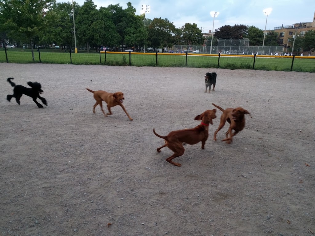 Stanley Off Leash Dog Park | park | 700 Wellington St W, Toronto, ON M5V 1G7, Canada | 4163384386 OR +1 416-338-4386