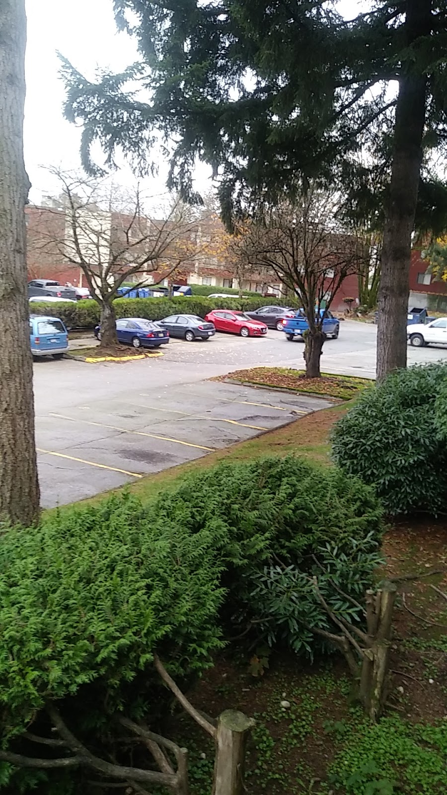 Maple Place Apartments | 10675 150 St, Surrey, BC V3R 4C1, Canada | Phone: (604) 585-1966
