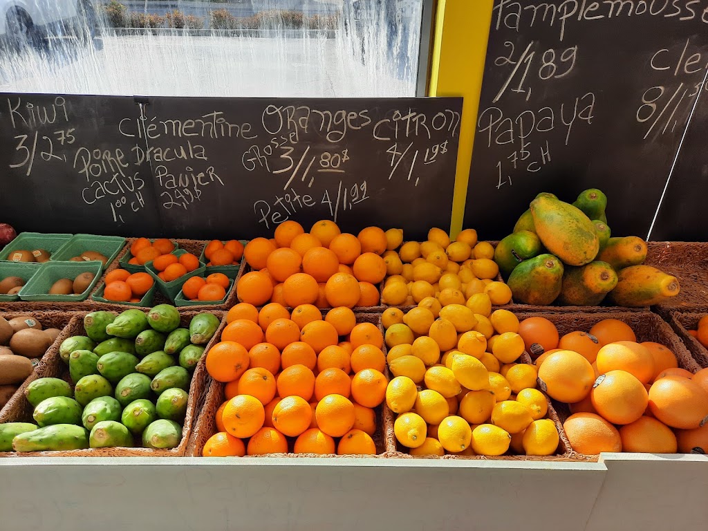 Fruits & Légumes de terre à table | #1072, Saint-Roch-de-lAchigan, QC J0K 3H0, Canada | Phone: (514) 773-3153