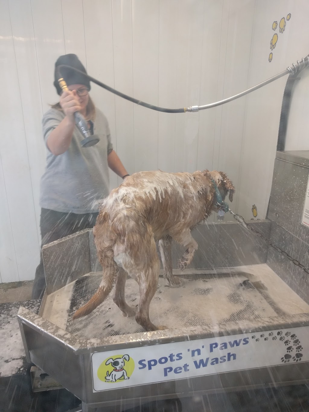 Sunrise Carwash | 1805 17th St E, Owen Sound, ON N4K 2A4, Canada | Phone: (519) 372-2227