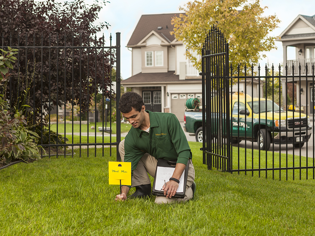 Weed Man Lawn Care | 1826 Rue Laurier, Sainte-Catherine, QC J5C 1B8, Canada | Phone: (514) 337-1222