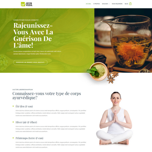 Web Creation Kino - Nouveau Concept de Site Web! | 148 Rue du Collège, Labelle, QC J0T 1H0, Canada | Phone: (819) 686-1772