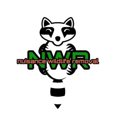 Nuisance Wildlife Removal | 257 N Indian Rd, Hastings, ON K0L 1Y0, Canada | Phone: (705) 930-9883