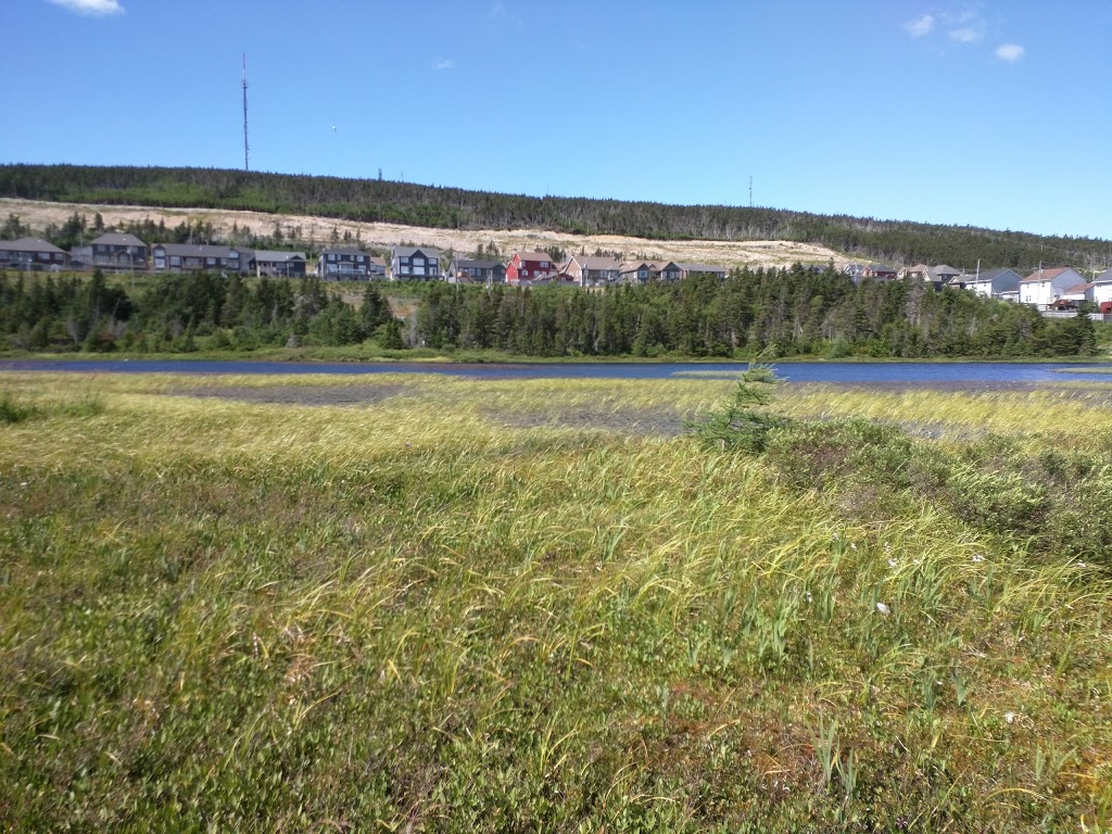 Branscombes Pond Park | Branscomes Pond Walk, Mount Pearl, NL A1N 3L2, Canada