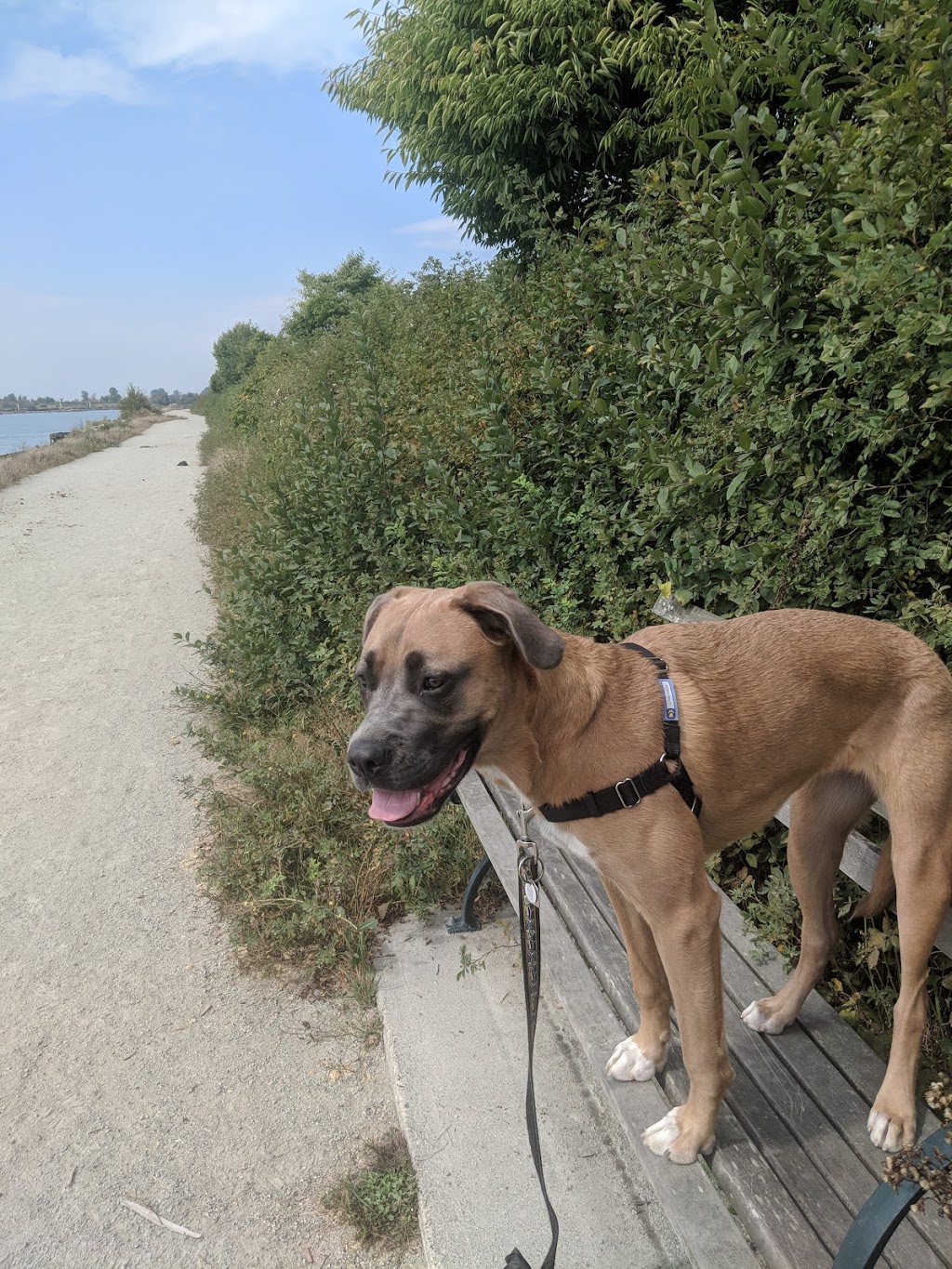 Fraser River Trail | 3X7, Fraser River Trail, Vancouver, BC V6N 3X7, Canada