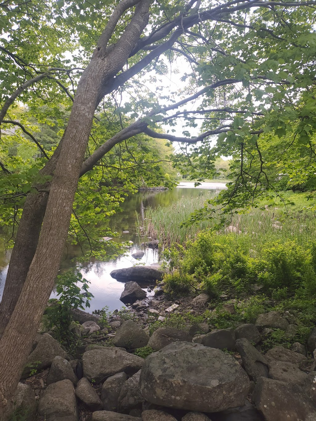 Lock 4, Shubenacadie Canal | 120 Fletcher Dr, Fall River, NS B2T 1J2, Canada | Phone: (902) 462-1826