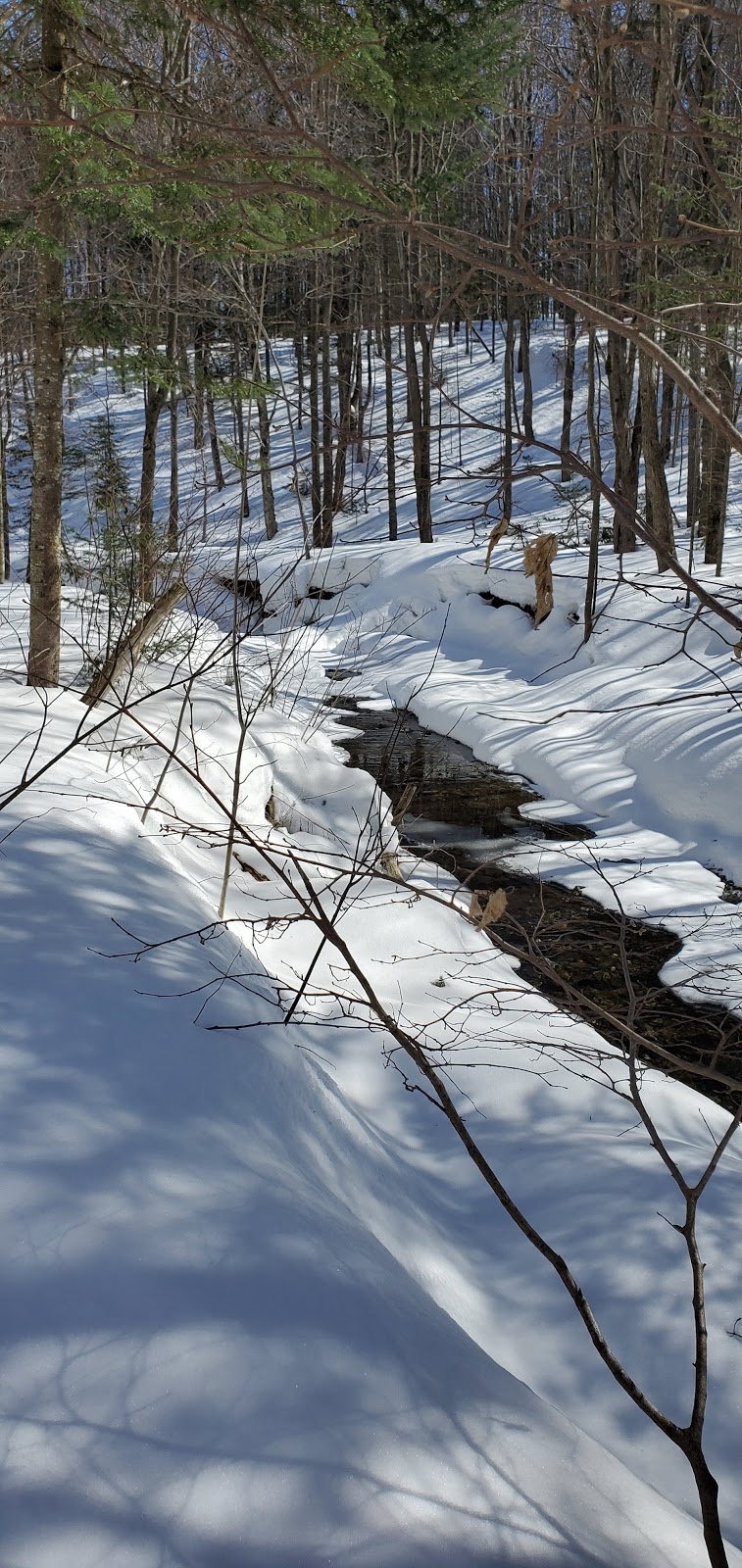 Terrain multifonctionnel de St-Elzéar | Rue des Loisirs, Saint-Elzéar, QC G0S 2J0, Canada | Phone: (418) 387-2534