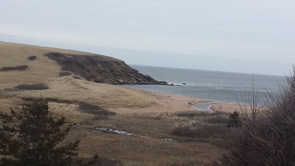 East Coast Hydraulics Sales Ltd | 3265 Shore Rd, Margaree Harbour, NS B0E 2B0, Canada | Phone: (902) 235-2035