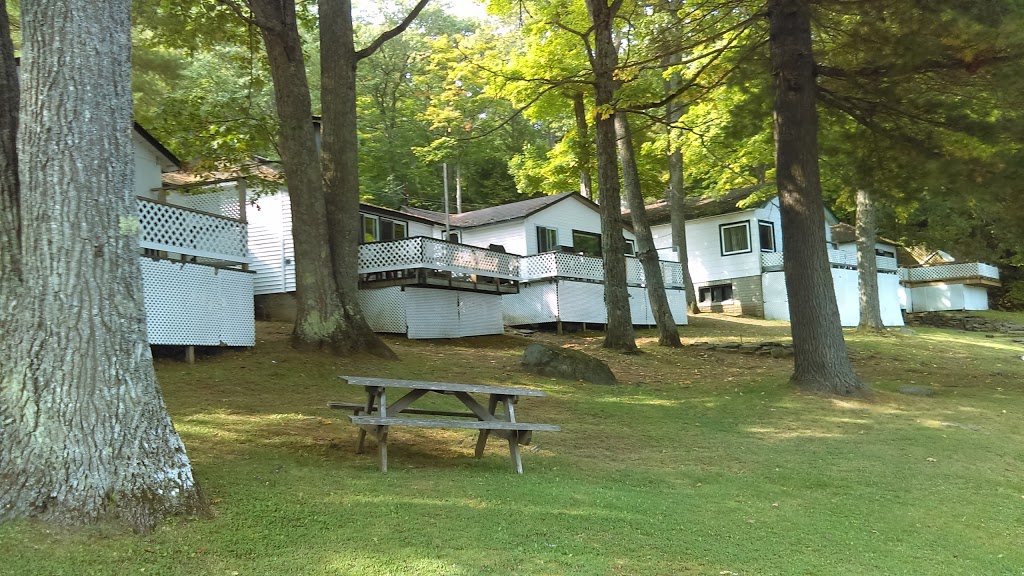 Little Hawk Resort & Marina | 2049 Little Hawk Lake Rd, Algonquin Highlands, ON K0M 1J2, Canada | Phone: (705) 489-2158