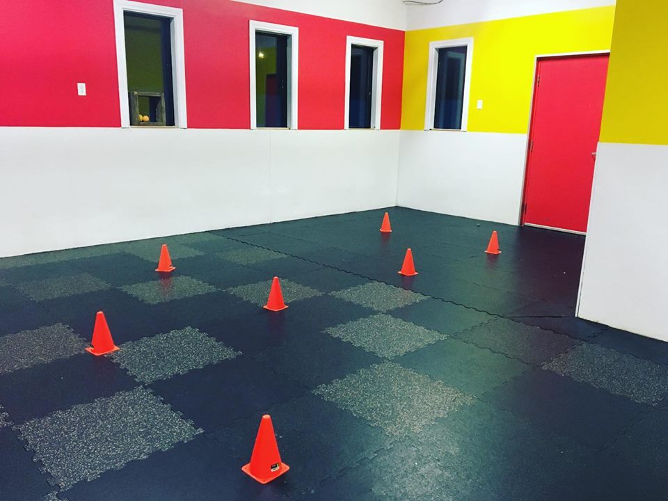 Jennifer Broadbents Dog Training Academy | The Den Doggy Daycare, 5325 Harvester Rd, Burlington, ON L7L 5K4, Canada | Phone: (905) 869-2275