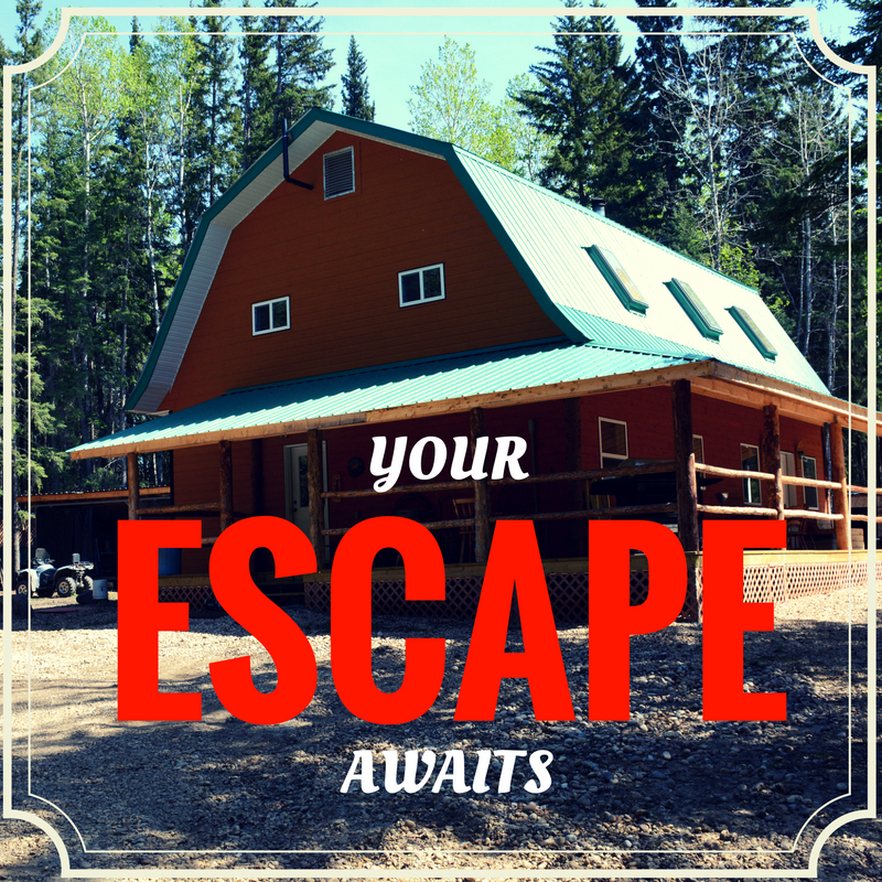Touchwood Wilderness Retreat | 379 Cross Lake Road, Flatbush, AB T0G 0Z0, Canada | Phone: (780) 307-7140