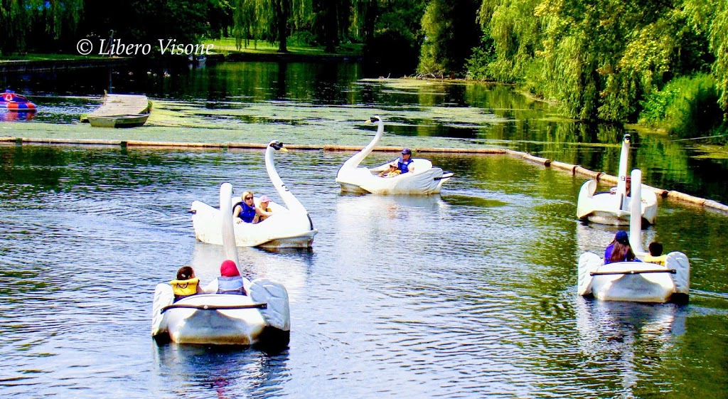 Island Public/Natural Science School | 30 Centre Island Park, Toronto, ON M5J 2E9, Canada | Phone: (416) 393-1910