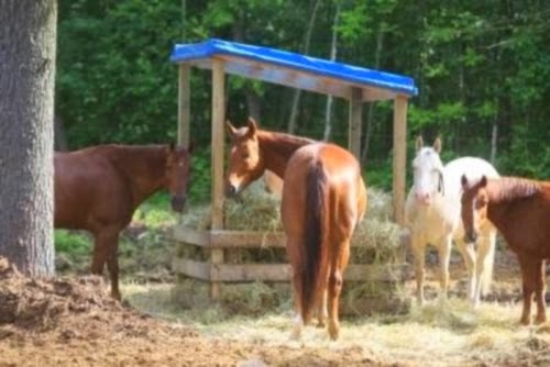 Le Domaine Équestre Gaïa - Centre équestre, pension pour chevaux | 100 Rang Saint-Pierre E, Sherrington, QC J0L 2N0, Canada | Phone: (514) 814-6848