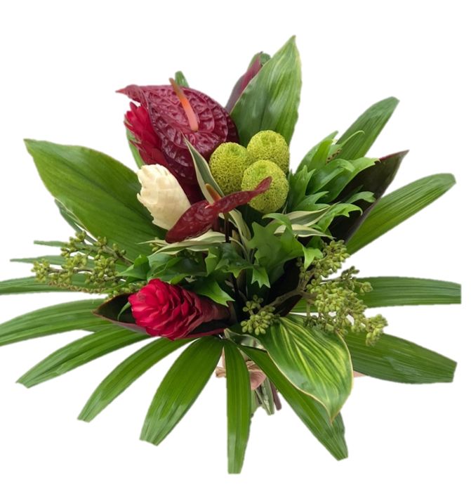 Spectrum Tropicals Inc | 325605 Norwich Rd, Norwich, ON N0J 1P0, Canada | Phone: (519) 732-8323