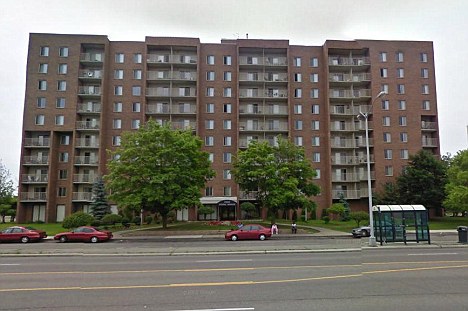Digie Crew | 65 Halsey Ave, East York, ON M4B 1A7, Canada | Phone: (281) 969-4048