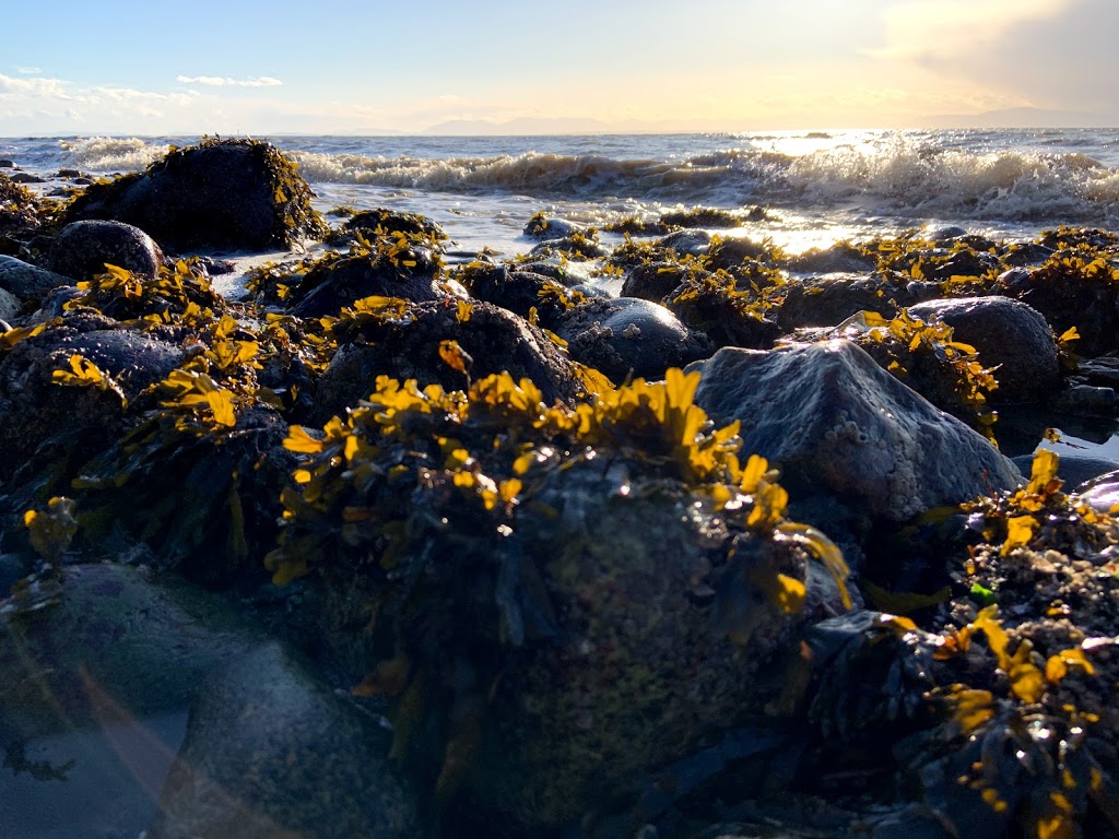Spirit Song Reiki | 1267 Carmen Rd, Gibsons, BC V0N 1V4, Canada | Phone: (250) 287-1766