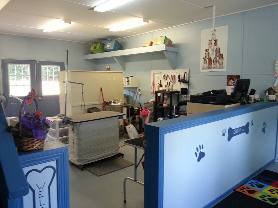 Jens Dog Grooming Salon | 571 Erie St, Wyoming, ON N0N 1T0, Canada | Phone: (519) 845-3596