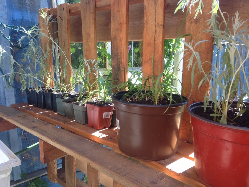 Earth and Sky Connection | 461 Penetanguishene Rd, Barrie, ON L4M 4Y8, Canada | Phone: (705) 739-0171