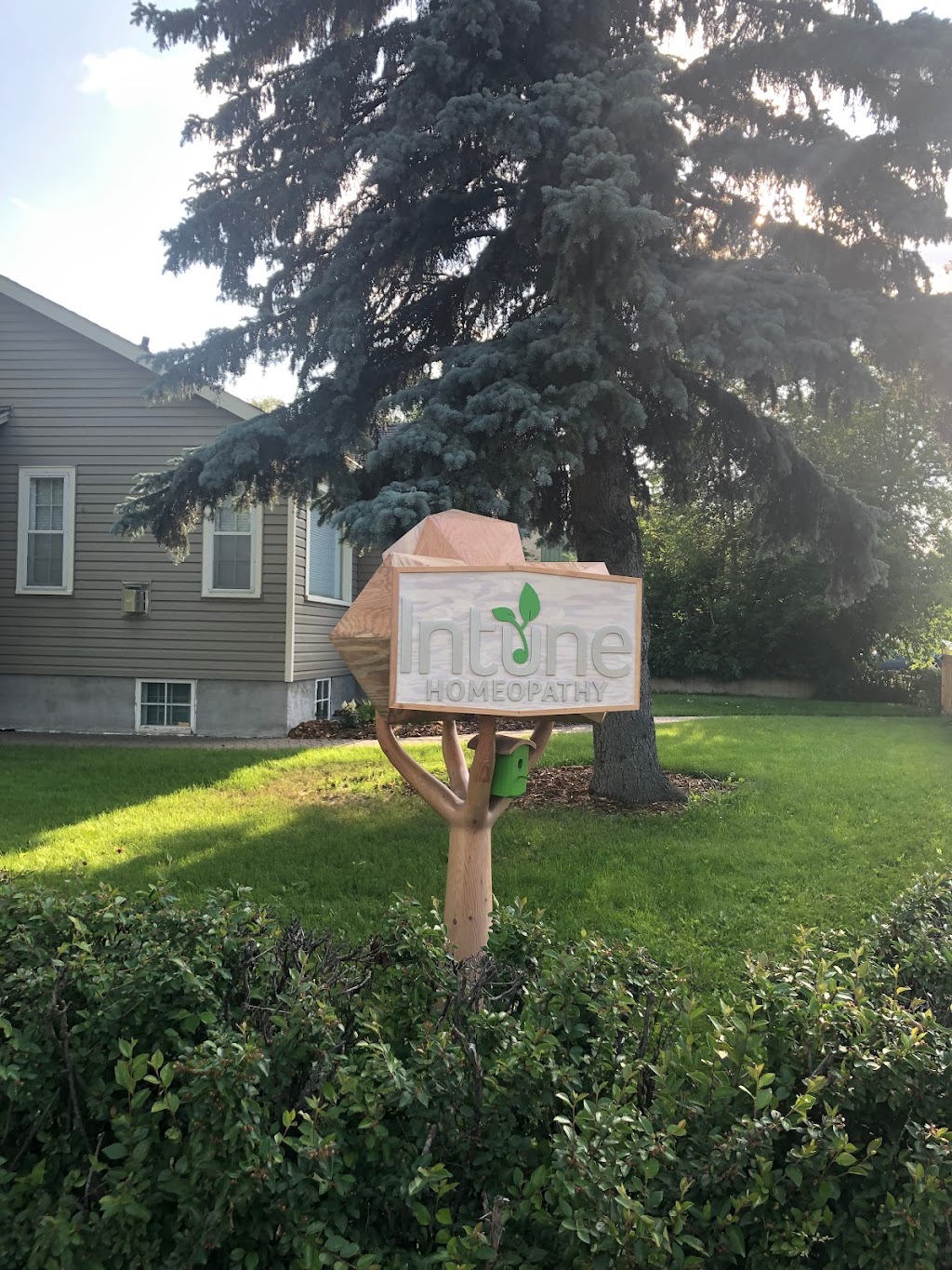 Intune Homeopathy | 4603 50 St, Red Deer, AB T4N 1X1, Canada | Phone: (403) 648-5098