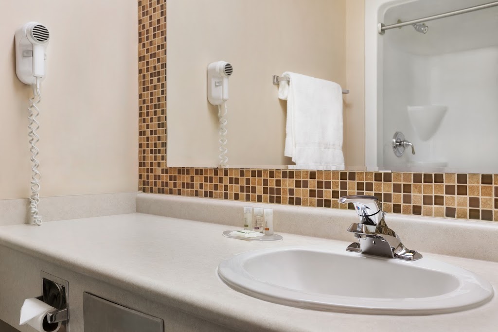 Days Inn by Wyndham Leamington | 201 Erie St N, Leamington, ON N8H 3A5, Canada | Phone: (519) 325-0260