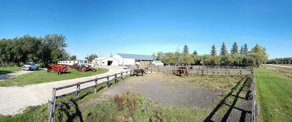 Blue Bear Farms | Box 368, Sanford, MB R0G 2J0, Canada | Phone: (204) 229-3023