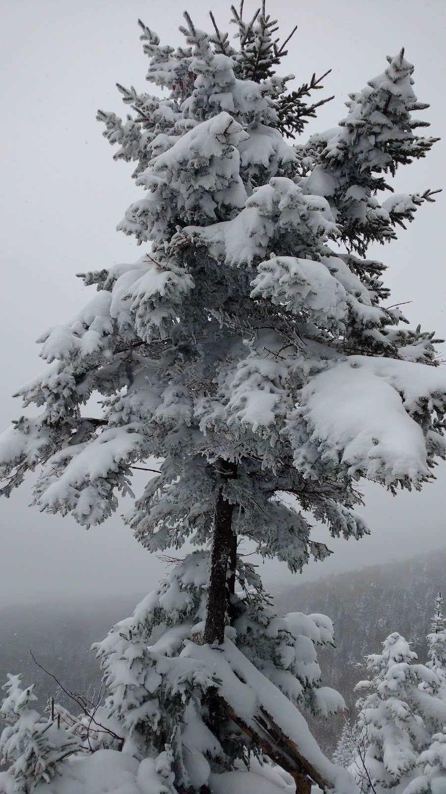 Sentier Mont Écho | Chemin de la Falaise, Sutton, QC J0E 2K0, Canada