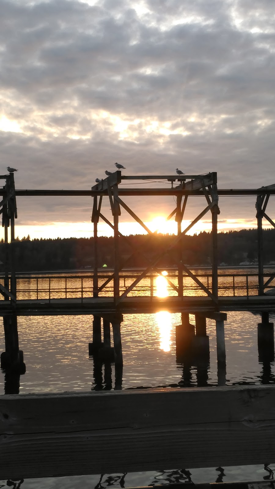 Island Veterinary SE | 3865 Legoe Bay Rd, Lummi Island, WA 98262, USA | Phone: (360) 758-4008
