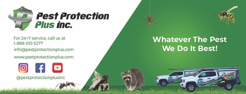 Pest Protection Plus | 6355 Kennedy Rd, Mississauga, ON L5T 2W6, Canada | Phone: (888) 510-5277