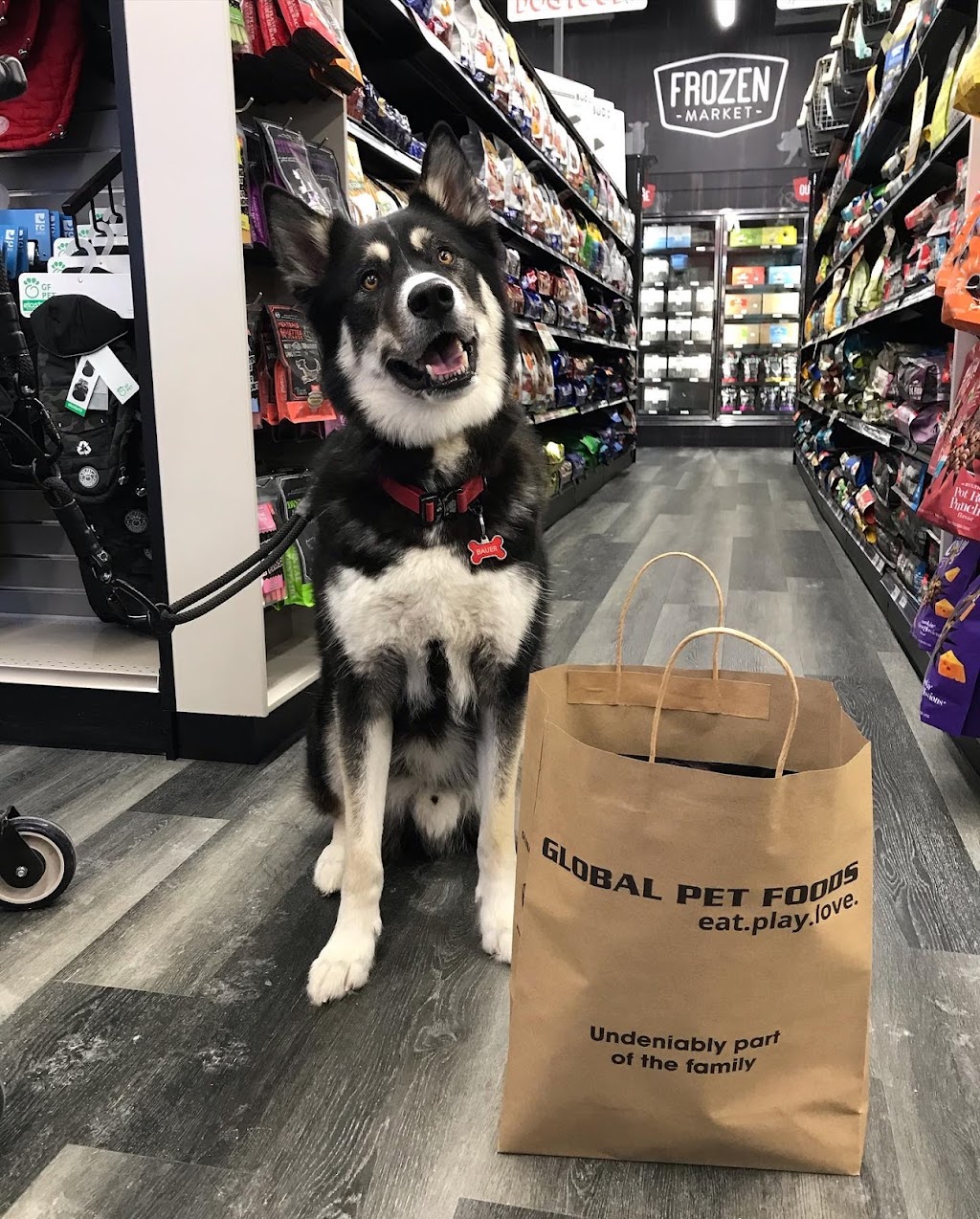 Global Pet Foods Port Elgin | 1246 Goderich St Unit 6/7, Port Elgin, ON N0H 2C3, Canada | Phone: (519) 832-4414