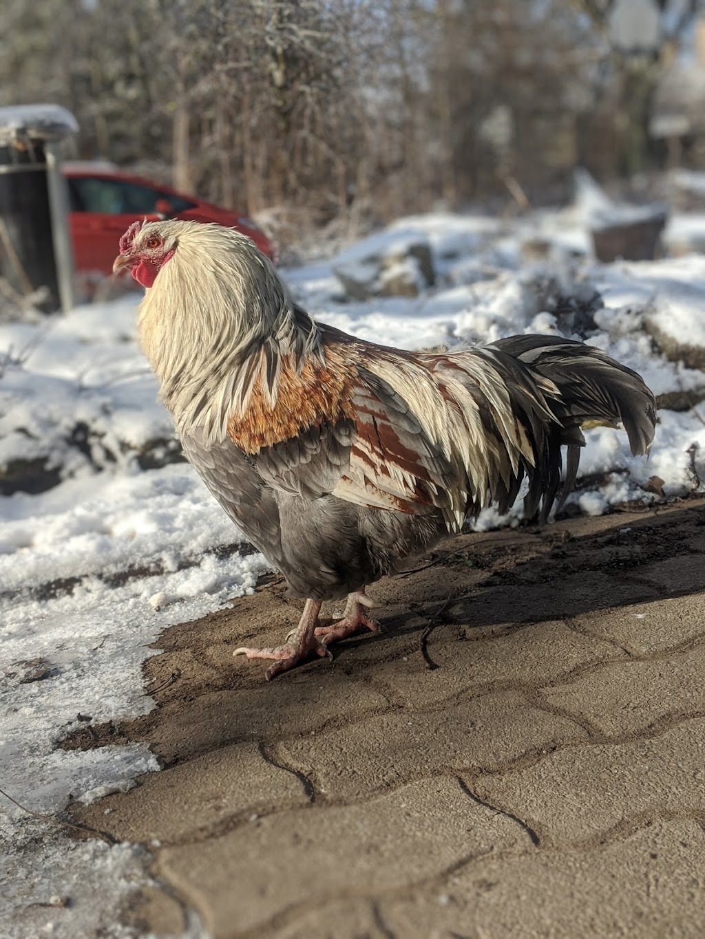 Plan B Organic Farms | 1377 5th Conc, Hamilton, ON N0B 1L0, Canada | Phone: (905) 659-2572