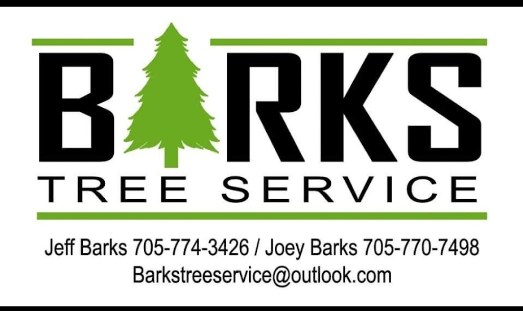 Barks Tree Service | 46 Eder Trail, Minesing, ON L9X 0G8, Canada | Phone: (705) 770-7498