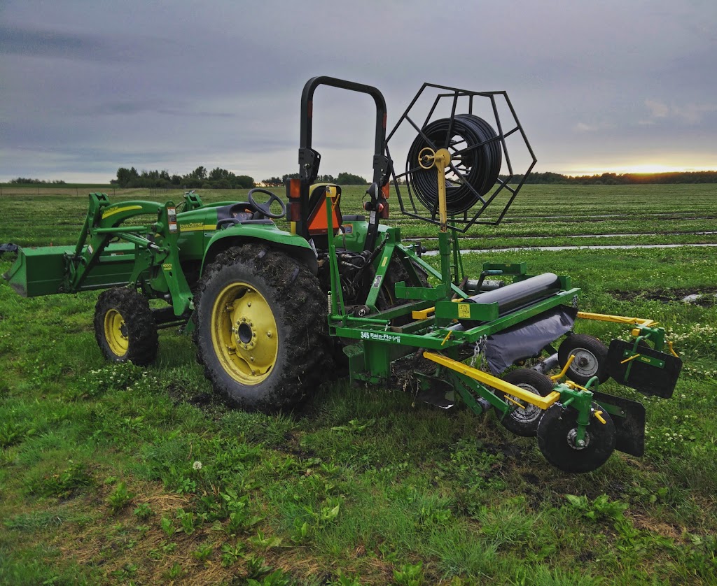 Rosy Farms | 57114 Range Road 264, Alcomdale, AB T8R 0Y8, Canada | Phone: (780) 951-1015